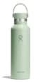 Hydro Flask Water Bottle Insulated Stainless Steel Non Spill Leakproof in 21 Oz Aloe Green