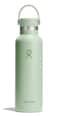 Hydro Flask Water Bottle Insulated Stainless Steel Non Spill Leakproof in 21 Oz Aloe Green
