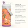 CamelBak Thrive Flip Straw Kids Bite Valve Stainless Steel Water Bottle Butterfly Rainbow 12oz