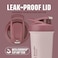 BlenderBottle Sport Sleek Shaker Cup Insulated Stainless Steel Water Bottle with Wire Whisk 25Ounce RedTan Sahara Sunset