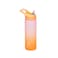 EcoVessel WAVE Tritan Plastic Sports Water Bottle with Flip Top Straw Leak Proof Lid and Carry Handle Reusable Water Bottle for Gym 24 oz Coral Sand