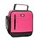 Dickies Basic Insulated Lunch Bag for Work Thermal Reusable Office Lunch Box for Men Women Pink