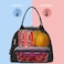 FlowFly Insulated Lunch Cooler Bag Tote Bag Organizer for WomenMen Dot