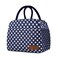 douyadady Lunch Bag WomenMen Lunch Box WomenMen BlueWhite dots