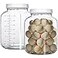 Galssmagic 1 Gallon Glass Jar with Lids2 Pack Super Wide Mouth Large Mason Jars 128 ozGlass Gallon Jugs Storage Container for Sun TeaKombuchaStoringCanning