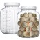 Galssmagic 1 Gallon Glass Jar with Lids2 Pack Super Wide Mouth Large Mason Jars 128 ozGlass Gallon Jugs Storage Container for Sun TeaKombuchaStoringCanning