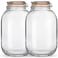 Qianfenie Glass Jars with Airtight Lids 2 Pack Large Mason Jars with Replacement Silicone Seal 1 Gallon Heavyduty Food Storage Container for Fermentation Pickling Eggs Canning Sun Tea Snack