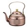SANQIAHOME Antique 18L 60 Oz Stainless Steel Teapot with Infuser Copper