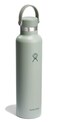 Hydro Flask Water Bottle Insulated Stainless Steel Non Spill Leakproof in 24 Oz Agave Green