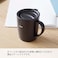 HARIO Insulated Mug with Lid 300ml 10 oz Black
