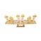 Restaurantware 225 x 43 Inch Oval Cone Stand 1 Sturdy Cone Holder With 20 Slots Cones Sold Separately Bamboo Cone Holder For Buffets Banquets Or Catering Events Party Supplies