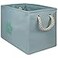 Bone Dry Pet Storage Collection Collapsible Bin Medium Rectangle Aqua