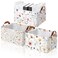 Boao Foldable Storage Baskets Dinosaur Easter Rabbit Classical Flowers Bow Laundry Basket with Handles Waterproof Storage Bins Fabric Shelf Baskets15 x 11 x 8 InchesWildflowers3 Pcs