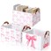 Boao Foldable Storage Baskets Dinosaur Easter Rabbit Classical Flowers Bow Laundry Basket with Handles Waterproof Storage Bins Fabric Shelf Baskets15 x 11 x 8 InchesBow and Cherry3 Pcs