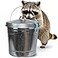 Plexon 6 Gallon Small Metal Trash Can with Lid Outdoor Locking Galvanized Metal Garbage Can with Lid for Poultry Feed Bird Seed Storage Ash Galvanized Bucket