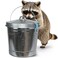 Plexon 6 Gallon Small Metal Trash Can with Lid Outdoor Locking Galvanized Metal Garbage Can with Lid for Poultry Feed Bird Seed Storage Ash Galvanized Bucket