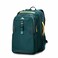 High Sierra HiLife 3in1 Convertible Backpack Features Removable Daypack StackIt Strap Adjustable Sternum Strap Fleeced Pocket For Scratch Protection Dual Water Bottle Pockets GreenYellow