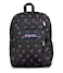 JanSport Laptop Backpack Computer Bag with 2 Compartments Ergonomic Shoulder Straps 15 Laptop Sleeve Haul Handle Bad Bows