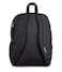 JanSport Laptop Backpack Computer Bag with 2 Compartments Ergonomic Shoulder Straps 15 Laptop Sleeve Haul Handle Bad Bows