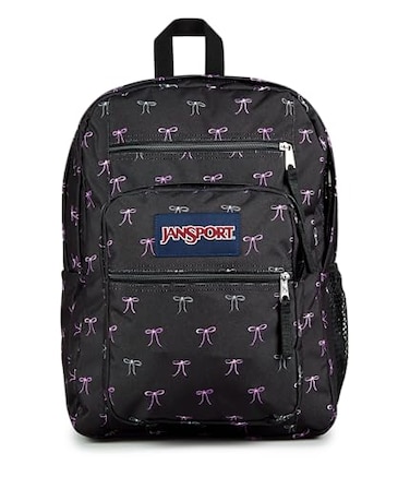 JanSport Laptop Backpack Computer Bag with 2 Compartments Ergonomic Shoulder Straps 15 Laptop Sleeve Haul Handle Bad Bows