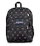 JanSport Laptop Backpack Computer Bag with 2 Compartments Ergonomic Shoulder Straps 15 Laptop Sleeve Haul Handle Bad Bows
