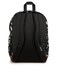 JanSport Cool Backpack with 15inch Laptop Sleeve Large Computer Bag Rucksack with 2 Compartments Ergonomic Straps Bewitched Blooms