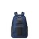 DELSEY PARIS Wagram Laptop Travel Backpack Navy 156 Inch