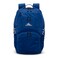 High Sierra Swoop SG Backpack Travel or Work Laptop Bookbag with Drop Protection Pocket and Tablet Sleeve One Size Cosmic Blue