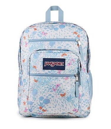 JanSport Laptop Backpack Computer Bag with 2 Compartments Ergonomic Shoulder Straps 15 Laptop Sleeve Haul Handle Fluttering Fields