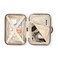 Samsonite Virtuosa Hardside Train Case Crossbody Travel Makeup Case with Removable Strap Off White