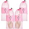 Shappy 4 Pcs Pointe Shoes Bag Mesh Dance Shoe Storage Ballet Accessories for Women Girls Drawstring PouchPink