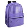Trail maker Transparent Mesh Backpacks for School Kids Beach Travel Mesh See Through Backpack with Padded Straps Large