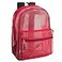 Trail maker Transparent Mesh Backpacks for School Kids Beach Travel Mesh See Through Backpack with Padded Straps Red Large