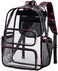 CAMTOP Clear Backpack Heavy Duty Transparent Bag See Through BookBag for Student School Work Festival Sport Travel Graffiti Red