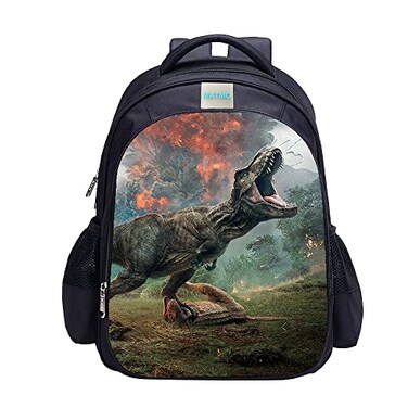MATMO Dinosaur Backpack for Boys School Bookbag for Kids 222