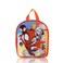 Fast Forward Marvel Spidey and His Amazing Friends Backpack for Boys Girls Unisex Cute 11 Spidey and Friends Mini Backpack for Toddlers Spidey Bag and Spidey Accessories