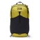 Mountain Hardwear Field Day 22L Backpack Bright Olive One Size