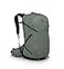 Osprey Sportlite 25L Lightweight Hiking Backpack for Men and Women Pine Leaf Green SM