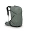 Osprey Sportlite 25L Lightweight Hiking Backpack for Men and Women Pine Leaf Green SM