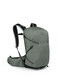 Osprey Sportlite 25L Lightweight Hiking Backpack for Men and Women Pine Leaf Green ML Extended Fit