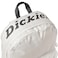 Dickies Logo Backpack WHITE AL