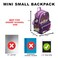Wondapop Disney The Princess and the Frog Tiana 13 Deluxe Nylon Mini Backpack