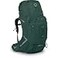 Osprey Aether Plus 70L Mens Backpacking Backpack Axo Green SM
