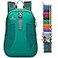 sinotron Lightweight Packable BackpackSmall Foldable Hiking Backpack Day Pack for Travel Camping Outdoor VacationGreen
