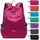 YZAOLL 20L Small Hiking Backpack Lightweight Day Packs Packable Backpack for Women Men Travel Camping VacationRose