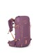 Osprey Tempest Velocity 20L Womens Hiking Backpack PashminaMelon WXSS