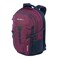 Eddie Bauer Adventurer Backpack with Organization Compartments and HydrationLaptop Compatible Sleeve Womens Adventurer Dark Plum 30L