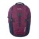 Eddie Bauer Adventurer Backpack with Organization Compartments and HydrationLaptop Compatible Sleeve Womens Adventurer Dark Plum 30L