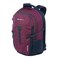 Eddie Bauer Adventurer Backpack with Organization Compartments and HydrationLaptop Compatible Sleeve Womens Adventurer Dark Plum 30L