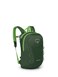 Osprey HydraJet 12L Kids Hiking Backpack with Hydraulics Reservoir Green Canopy